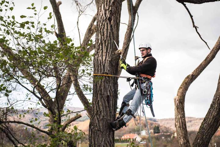 Soins spécialisés en grande hauteur